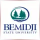 Bemidji State University - Social Work School Ranking