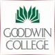 Goodwin College - Social Work School Ranking