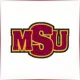 Midwestern State University - Social Work School Ranking