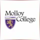 Molloy College - Social Work School Ranking