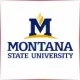 Montana State University - Social Work School Ranking