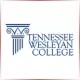 Tennessee Wesleyan College - Social Work School Ranking