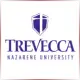 Trevecca Nazarene University - Social Work School Ranking