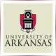 University of Arkansas - Social Work School Ranking