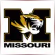 University of Missouri Columbia - Social Work School Ranking