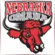 University of Nebraska at Omaha - Social Work School Ranking