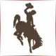 University of Wyoming - Social Work School Ranking