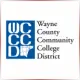 Wayne County Community College District - Social Work School Ranking